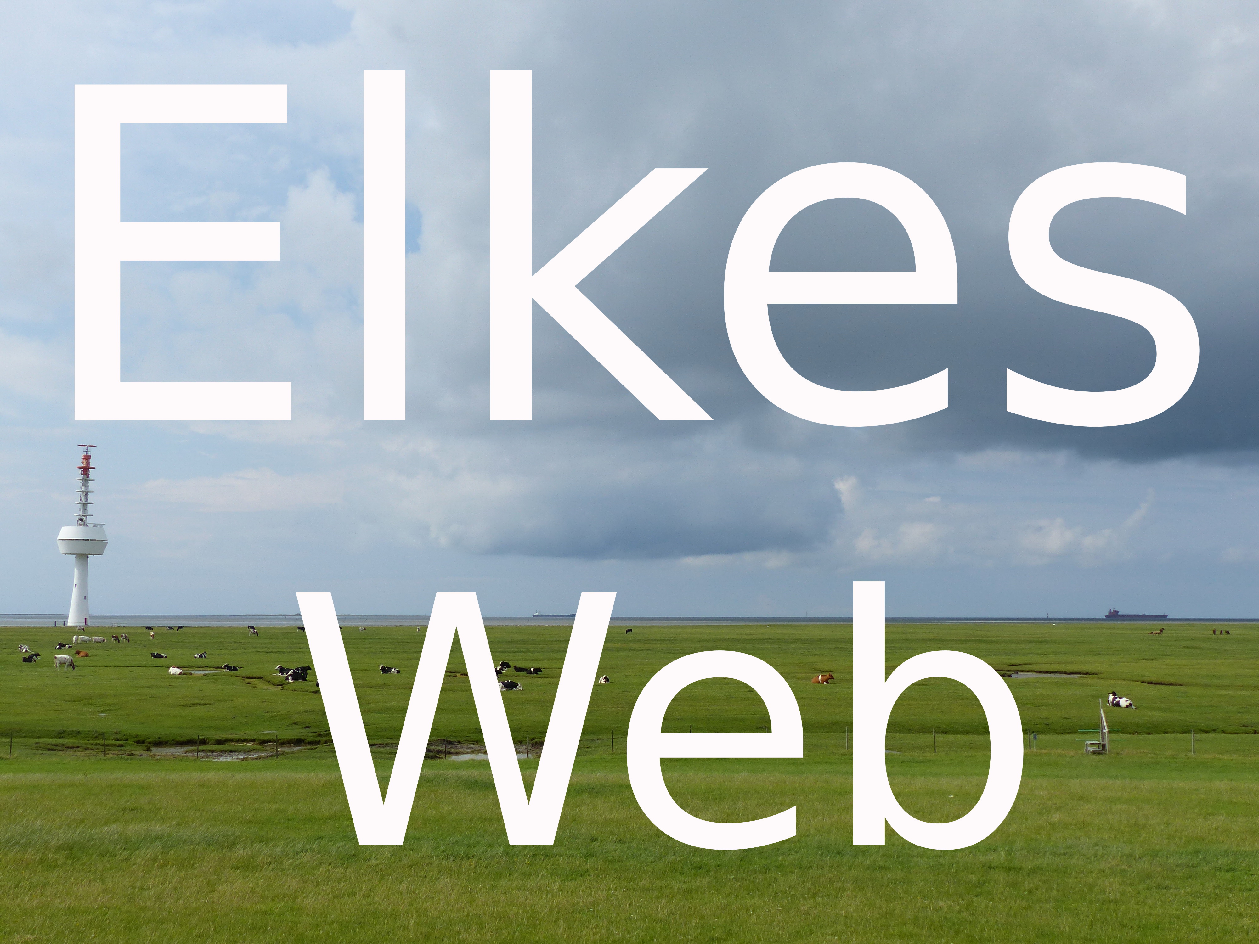 Elkes Web logo